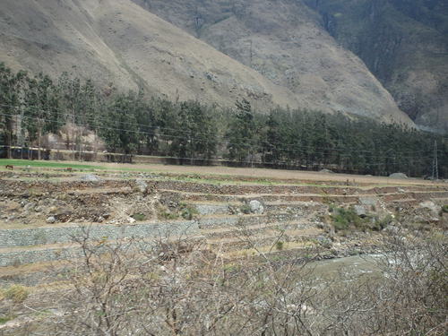 Inca Rail Ride.